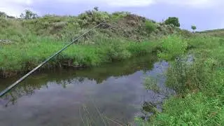 Live Water Wolf Creek Fishing Video