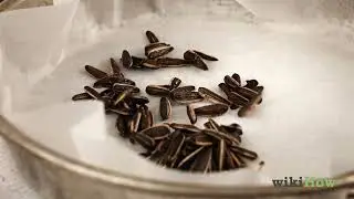 How to Roast Sunflower Seeds