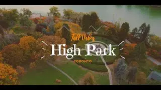 Autumn in Toronto: Stunning Fall Colors at High Park 🍁🍂
