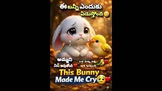 This Bunny Made Me Cry 😭❤️ | Telugu Emotional Short