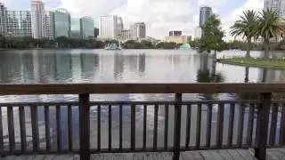 Live wedding in Orlando Florida