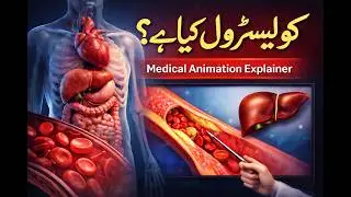 Cholesterol Explained in Urdu | 3D Medical Animation