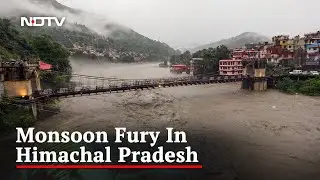 Himachal Rainfall Updates | Exclusive: Himachal Pradesh Worst-Hit By Monsoon Fury