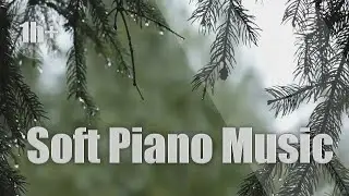 +1h Soft Piano Music to help you relax and enjoy a nice moment 💚