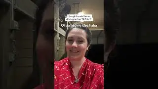 Miniature horse tack bought on TikTok #holiday #horse #minihorse #tiktok