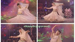 འགྲན་ཞུགས་པ་བསོད་ནམས་ནོར་བུའི་རྒྱ་གར་ཞབས་བྲོ་ཧང་སང་ཡ་ཞིག་འཁྲབ་འདུག །