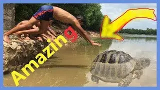 Braves Two Children Catch Turtle Using Brave hand,    Amazing