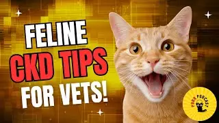 CKD Cat Dosing Secrets with Dr. Jessica Quimby - Purr Podcast