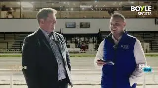Полуфинал ирландского дерби борзых BOYLE Sports 2025 года