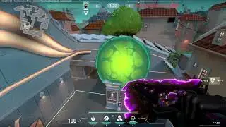 Pearl Viper Guide