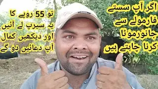 janwar ko farba karne ka aasan tarika || سستے فارمولے سے جانور موٹا کرنے کا طریقہ|Animal Informer TV