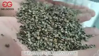 Hemp Seeds Dehulling Machine From Machineprices.com