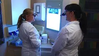ABQ Dentists--Dr.  Anne Scott