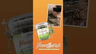 🌿 The Finest Catnip Experience! | Meowijuana Catnibas&reg; Catnip Buds 😻