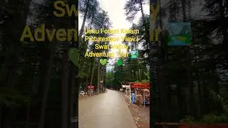 Ushu Forest Kalam Picturesque View | Swat Valley Adventure Tour 🏞️💚🌲#UshuForest #kalamvalley #vlog