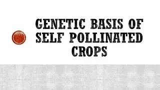 Genetic basis of Self Pollinated Crops - Principle of Progeny Selection & Pureline Theory.