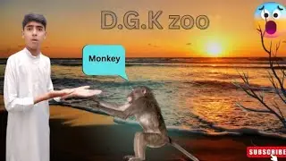 Going to D.G.Khan zoo 🥳🥰👉 very beautiful place ✌️🥶 shaheerkiduniya09 🌍
