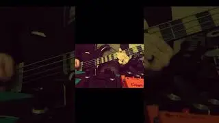 Jessup Amps Kenny Hickey Chorus #alembicspoiler #bossds1 #peaveybassist #petersteele #typeonegative