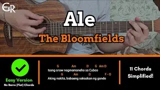 Ale - The Bloomfields | EASY! Guitar Tutorial (CHORDS, STRUMMING PATTERN & LYRICS)