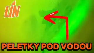 Zimní rybaření s peletami | podvodní kamera 🐋🎣