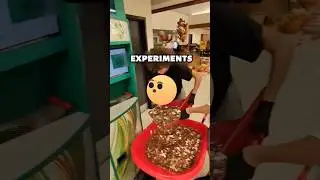 Этот парень только что провёл невероятный эксперимент с монетами.