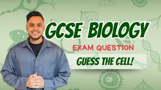 GCSE Biology: Exam Revision | Specialised Cells