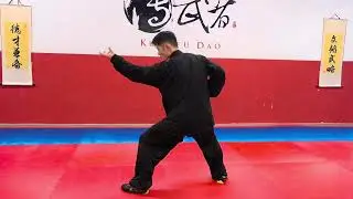 Forma Shaolin DaHong Quan -Escuela Kungfu Dao Barcelona