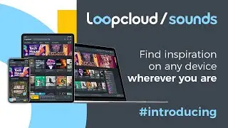 Loopcloud Sounds - Find inspiration on any device ,wherever you are