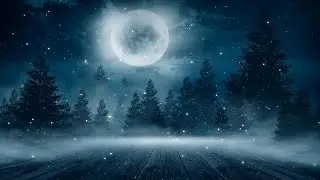 Relaxing Dark Winter Music &ndash; Forest of Frost | Magical, Spooky, Mysterious ★278