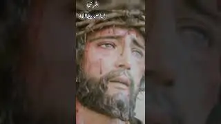 ترنيمة وا حبيبي. #tranem  #اكسبلور  #تصميمي  #ترانيم_تراثية  #ترانيم  #shorts  #shortvideo