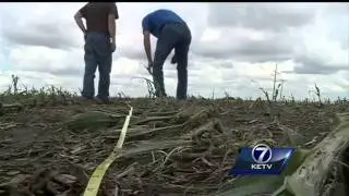 Nebraska crop damaged in hail storm