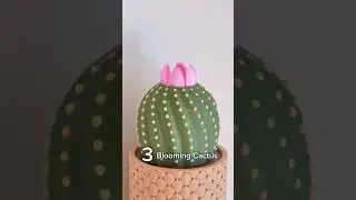 Flowers that actually do something