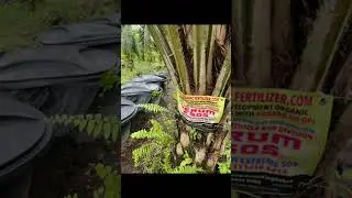 INCREASED HARVEST without chemical fertilizers or pesticides ( ORGANIC BREAKTHROUGH 🆘 TECHNOLOGY 🆘)