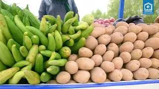 Employment, Dignity & Self-Reliance | Alkhidmat Islamic Microfinance Changing Lives