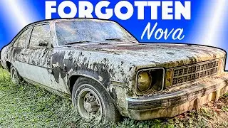 ABANDONED Chevy Nova Rescued + BONUS Parts!
