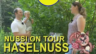 DIE HASELNUSS | NUSSI ON TOUR | STRUDENGAUER LEBENSPAUER | DER BAUMPATE