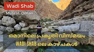 Wadi Shab യാത്രാ അനുഭവം - ഒമാനിലെ പ്രകൃതിയുടെ അത്ഭുതം | Muscat, Oman #wadishab #muscat #oman