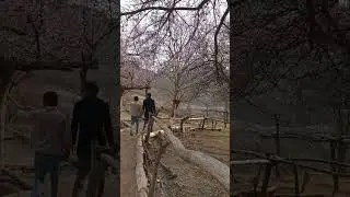 Altit Fort Hunza. #altitfort #forts