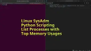 Linux SysAdm Python Scripting List Processes with Top Memory Usages #python #linux #sysadm