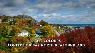 Discovering Newfoundland - Searching for Autumn Colours Conception Bay North Newfoundland