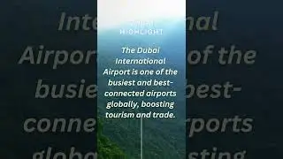 Dubai Highlights 14 #dubai #dubaihighlights #2023 #dubaihistory  #viral
