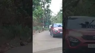 Goa shack beach ⛱️shortvideo, short video, shorts funny video, horror video, short, shorts, viral