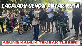 LAGA ADU GENGSI‼️GL LUWAK VS GL ALBINO‼️HEREX 500M