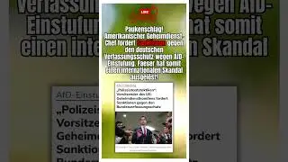 Skandal weitet sich weiter aus #shorts #shortsfeed #shortvideo #afd #politik #deutsch #foryou #fyp