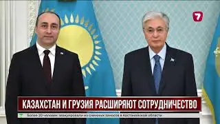 Казахстан и Грузия усилят сотрудничество в борьбе с преступностью