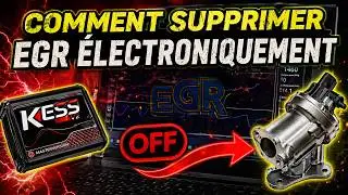 How to electronically disable the EGR valve (BMW E46 320D 150hp)