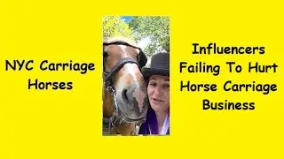 Influencers Failing To Hurt NYC Horse Carriage Business