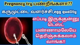 how to check egg quality at home in Tamil | How to know the egg quality without test in tamil