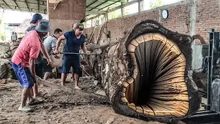 Trembesi Wood Workers Thrive at Melbourne Sawmill