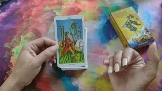 Seis de Paus em forma de conselho.